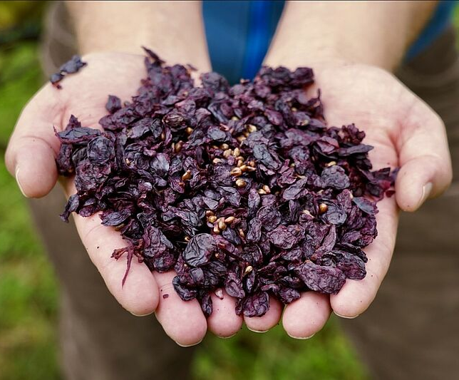 creawine_ecoextracteur